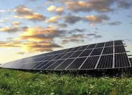 Energia Solar no Agronegócio