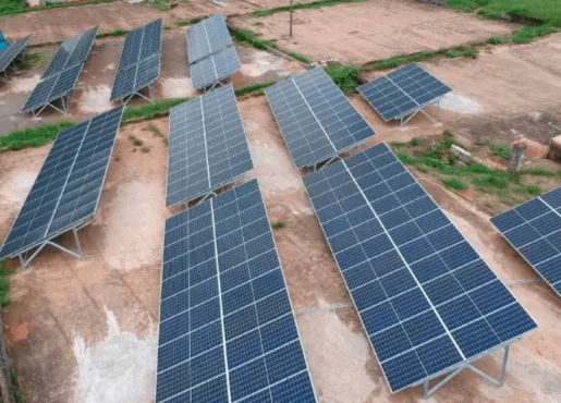 Pesquisadores desenvolvem células fotovoltaicas com corantes vegetais